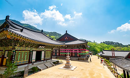 Tour a SABORES Y COLORES DE COREA 2025 en español | Viajes a USA y Canada