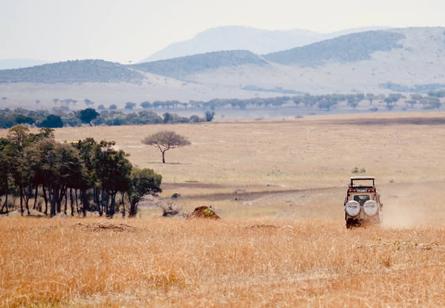 foto del viaje a tanzania en español 2026-2027